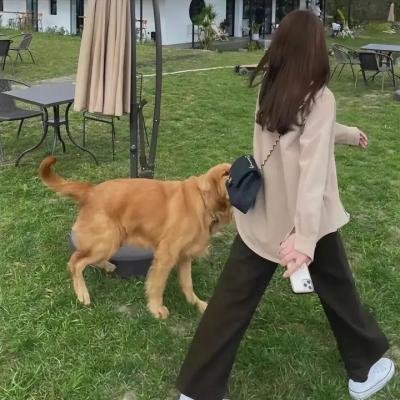 隐藏的画家